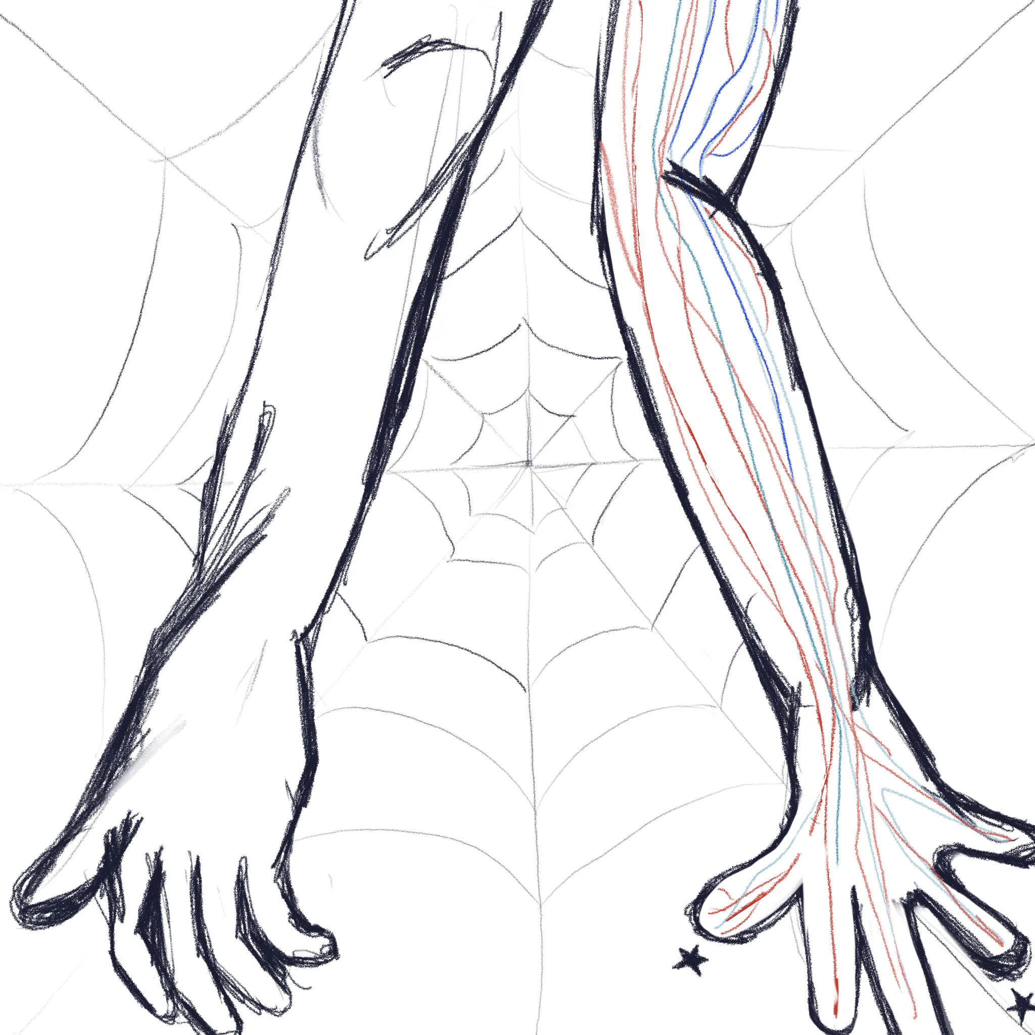 Day 2: Spiders
Spider veins