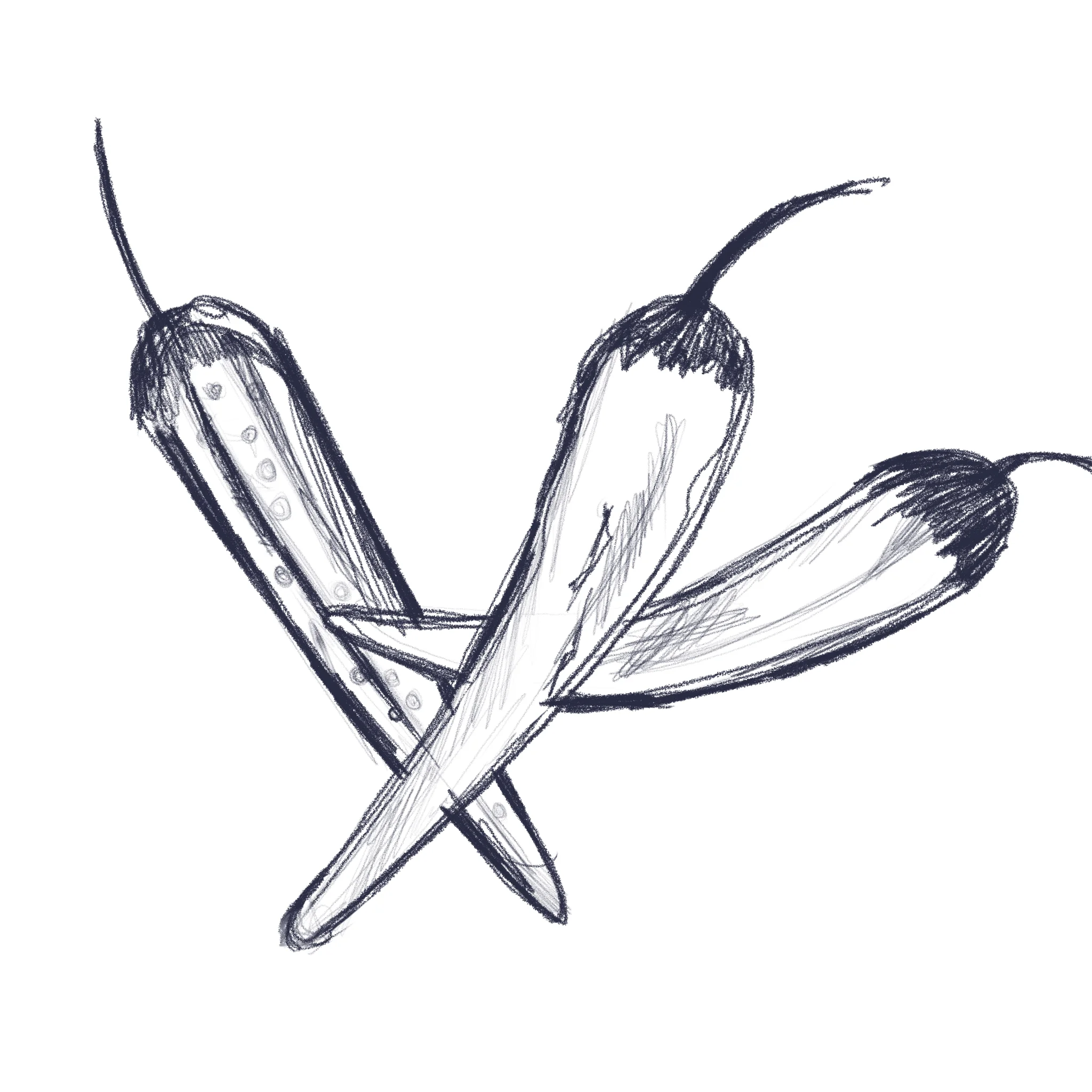 Day 12: Spicey
Chillies, obviously 🤷♀️