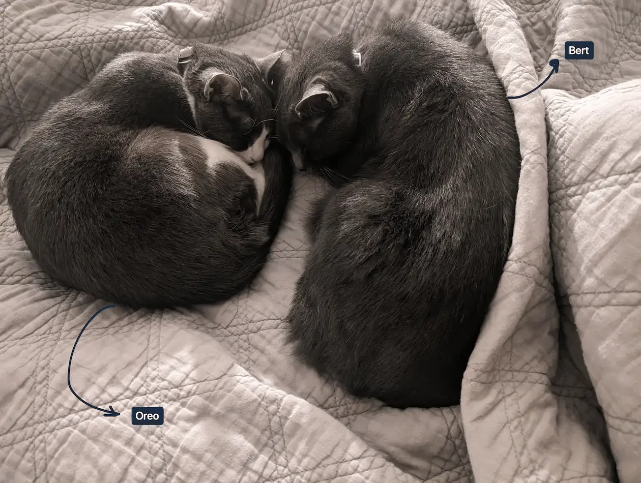 Almost making a heart while mending mine 💛❤️🩹